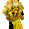 Hoa Mặt Trời S235