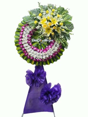 Cuối chân trời H44 - Điện hoa Hậu Giang