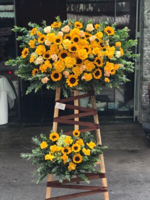 Hoa hướng dương