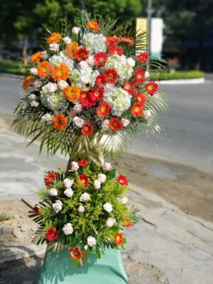 Hoa lan hồ điệp