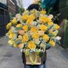 Ánh Dương May Mắn S23