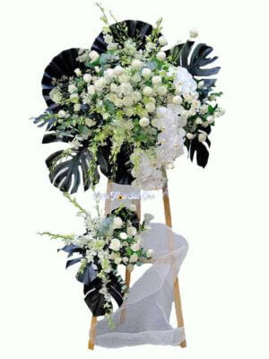 Cõi vĩnh hằng H36