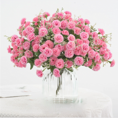 Hoa cẩm chướng dùng để trang trí