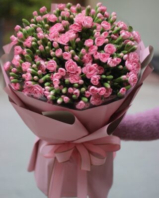 Bó hoa cẩm chướng