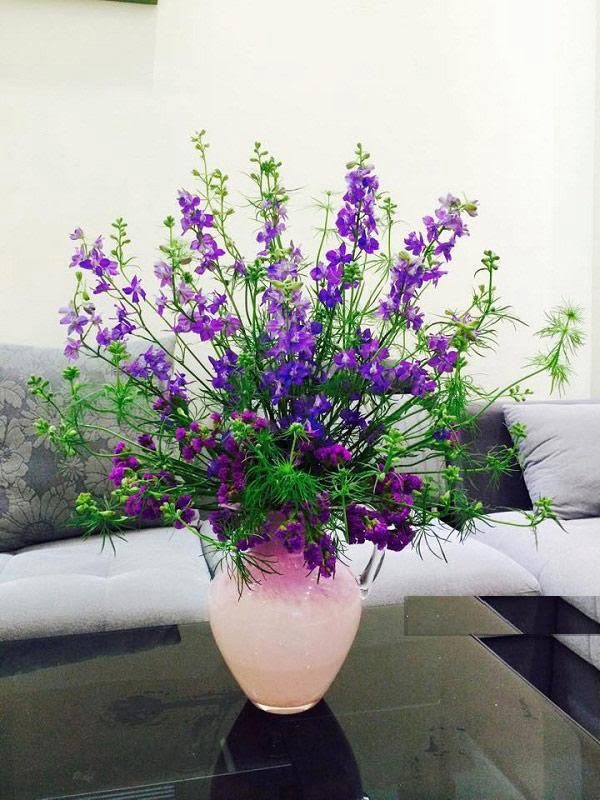 Hoa violet dùng để trang trí