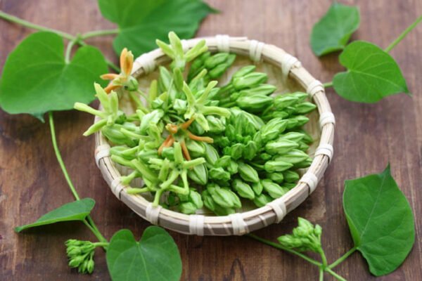 có tác dụng cải thiện các căn bệnh về mắt như viêm giác mạc, viêm kết mạc cấp và mãn tính