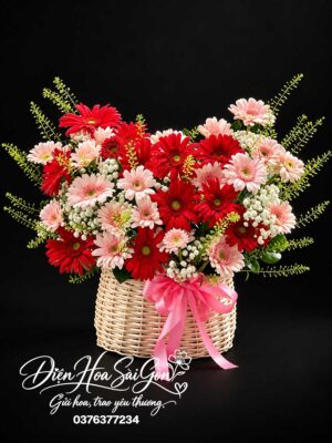 Thương Mến Đầy Vơi A259
