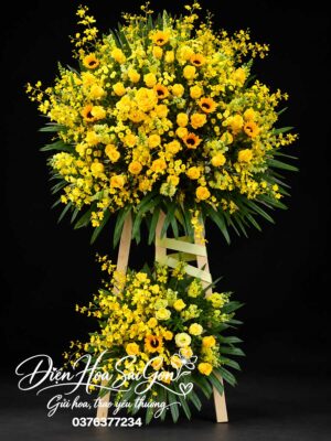 Ánh Dương Dẫn Lối A474