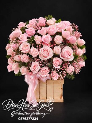Sắc Hồng Viên Mãn A297
