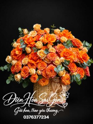 Kim Sắc Hân Hoan A331