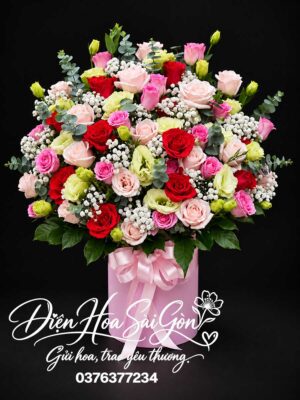 Thanh Sắc Dịu Êm A342