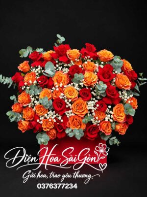 Bình Minh Rạng Rỡ A355
