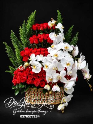 Rực Cháy Yêu Thương A197