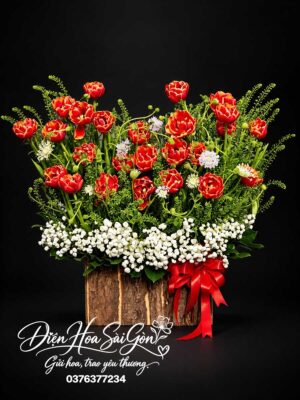 Nắng Nhẹ Bên Thềm A245